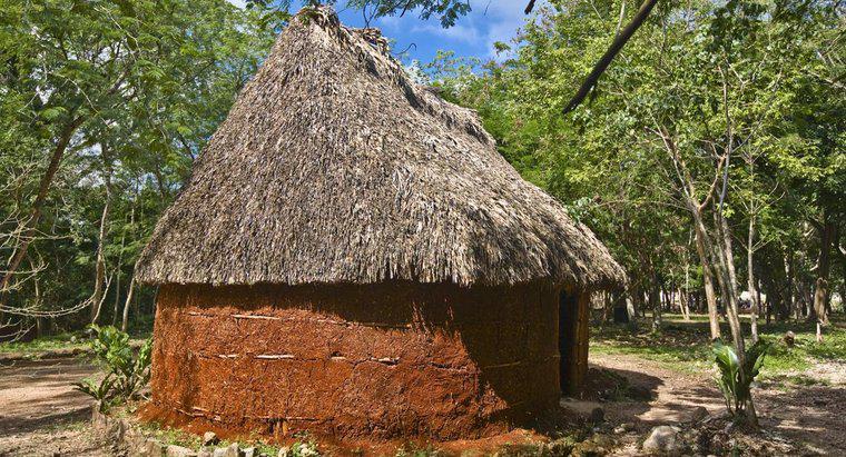 Người Maya đã làm nơi trú ẩn của họ như thế nào?