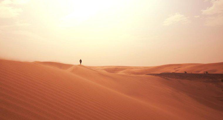 Làm thế nào để bạn tự bảo vệ mình khỏi mặt trời sa mạc?