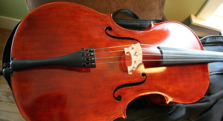 Cello cân nặng bao nhiêu?