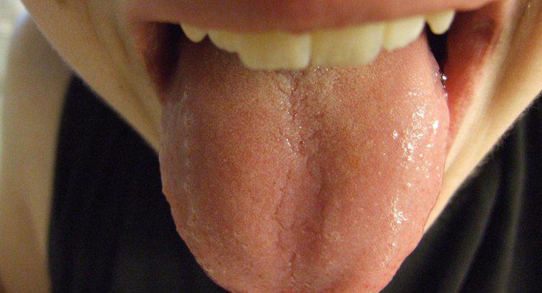 Lưỡi bình thường trông như thế nào?