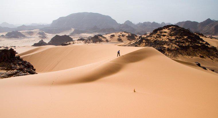 Làm thế nào để bạn điều hướng trong sa mạc?