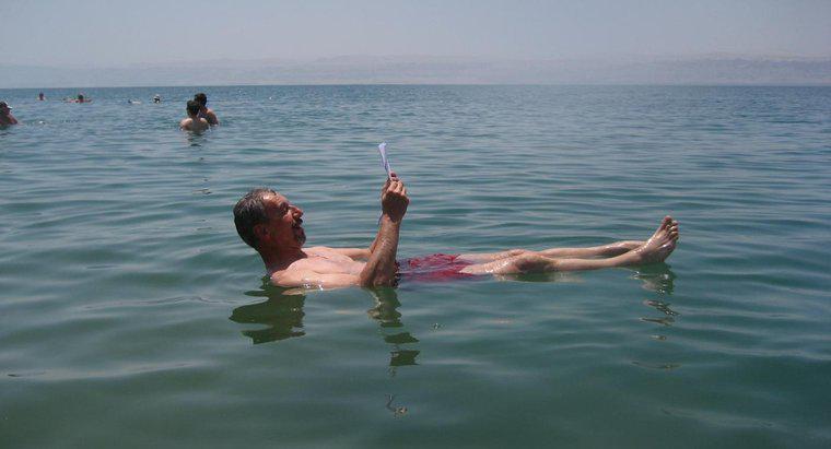 Có gì sống ở Biển Chết không?
