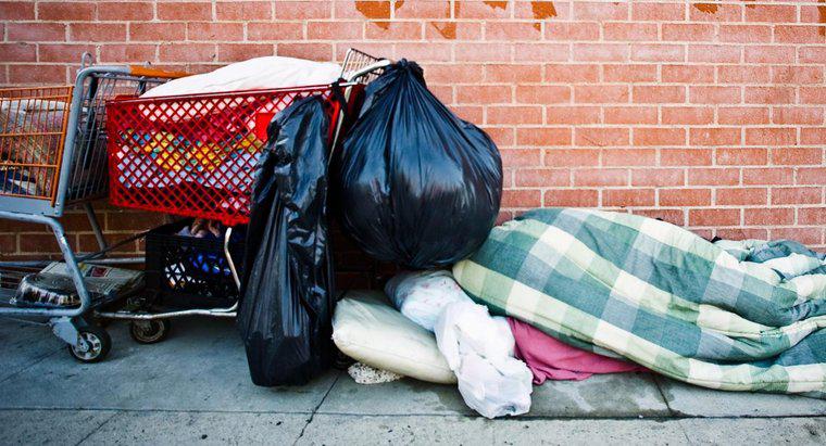 Có bao nhiêu người trở thành vô gia cư mỗi năm?