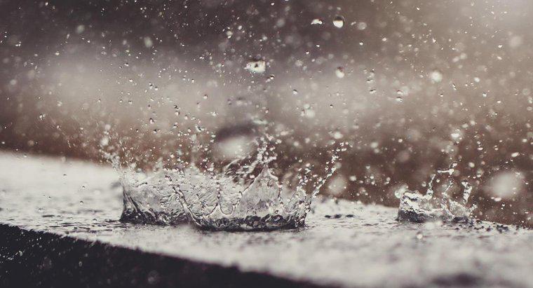 Bạn có thể tìm Tổng lượng mưa hàng ngày tại địa phương ở đâu?