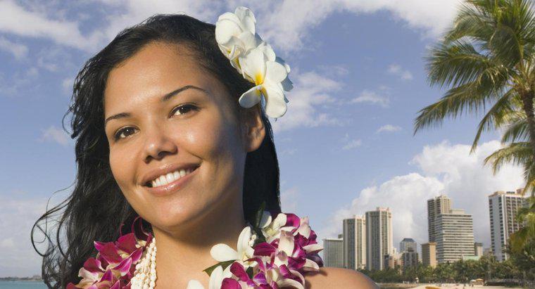 Ý Nghĩa Của Truyền Thống Hawaii Đeo Hoa Sau Tai Là Gì?