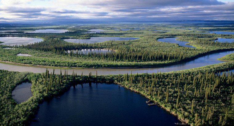 Con sông dài nhất ở Canada là gì?