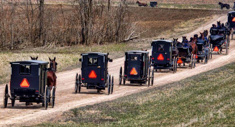 Người Amish có Số An sinh Xã hội không?
