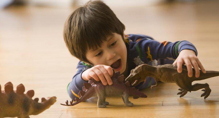 Tuổi thọ của Stegosaurus là gì?