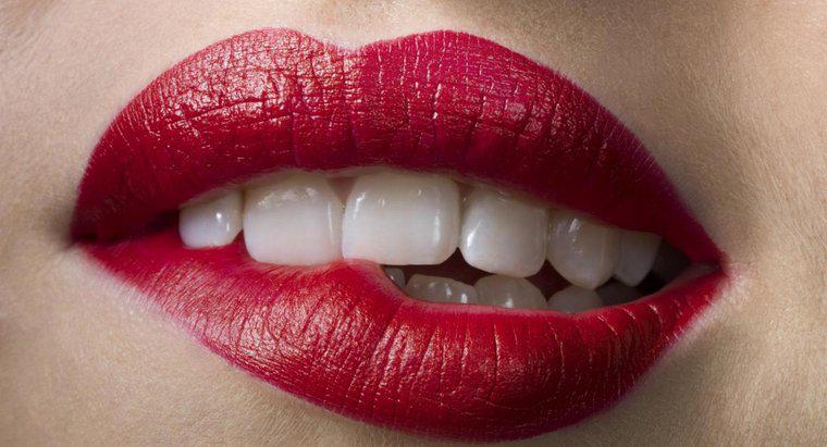 Làm thế nào để bạn chữa lành môi bị tách?