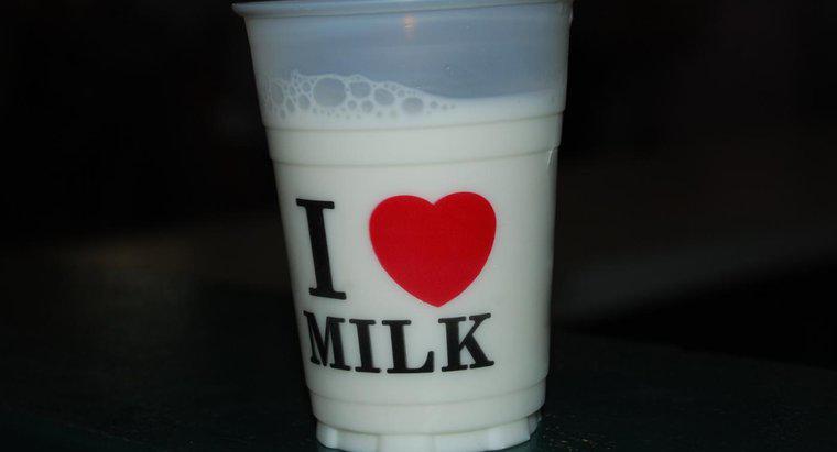 Sữa có phải là một hỗn hợp không?