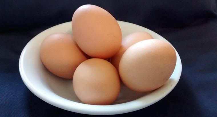 Trứng gà làm bằng gì?