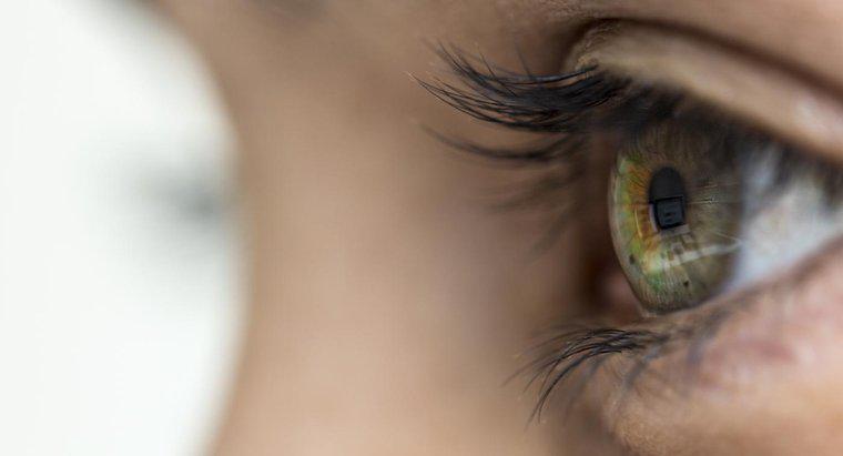Các triệu chứng của bệnh zona ở mắt là gì?