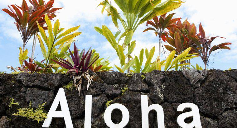 Có bao nhiêu chữ cái trong bảng chữ cái Hawaii?
