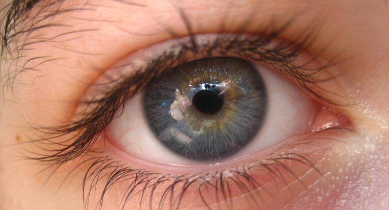 Đôi mắt xám hiếm đến mức nào?