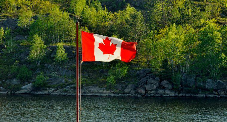 Khí hậu của Lá chắn Canada là gì?