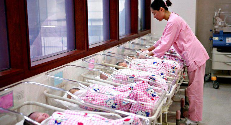Số trẻ sơ sinh được sinh ra trong một lần sinh cao nhất là bao nhiêu?