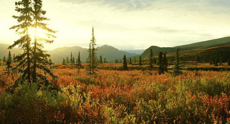 Mối quan tâm về môi trường và sinh thái của quần xã sinh vật Tundra là gì?