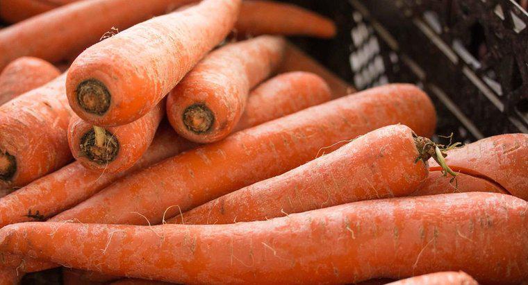 Cà rốt tươi có thể đông lạnh được không?