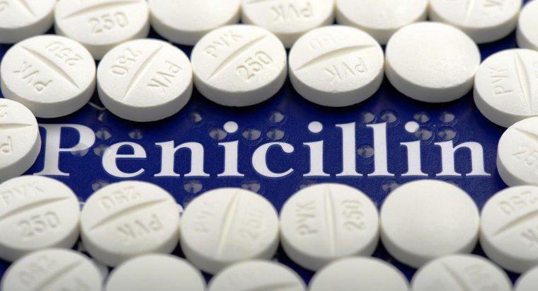 Penicillin có thể điều trị nhiễm trùng âm đạo không?