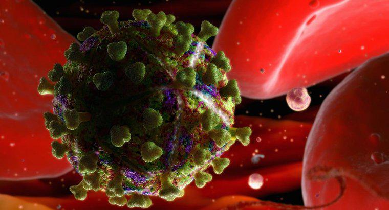 HIV có thể tồn tại bên ngoài cơ thể người bao lâu?