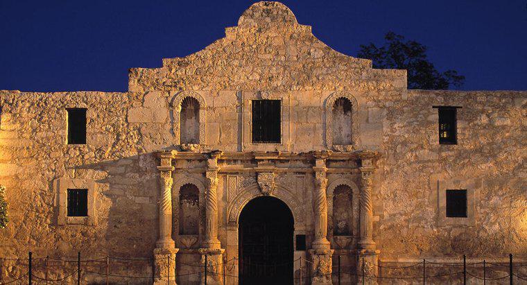 Một số thông tin về Alamo là gì?