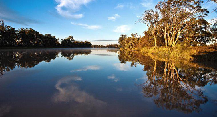 Con sông dài nhất của Úc dài bao nhiêu?