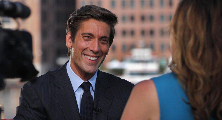 David Muir Hẹn hò với ai?