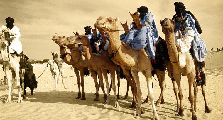 Có ai thực sự sống ở sa mạc Sahara không?