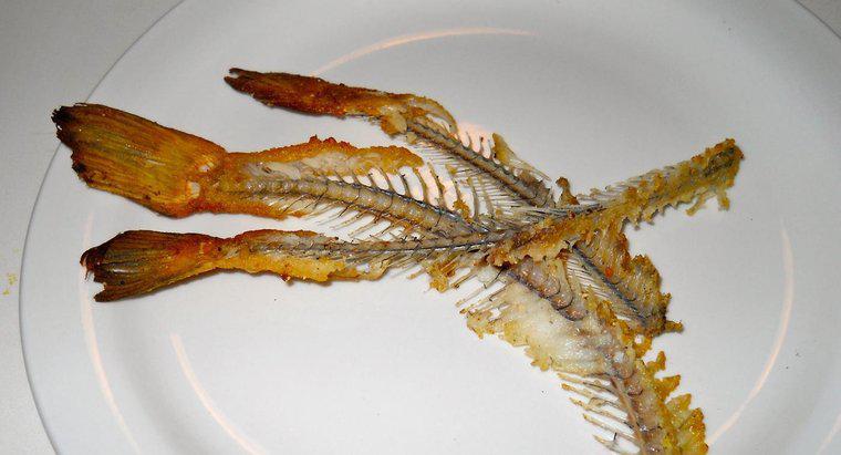 Nuốt xương cá có nguy hiểm không?