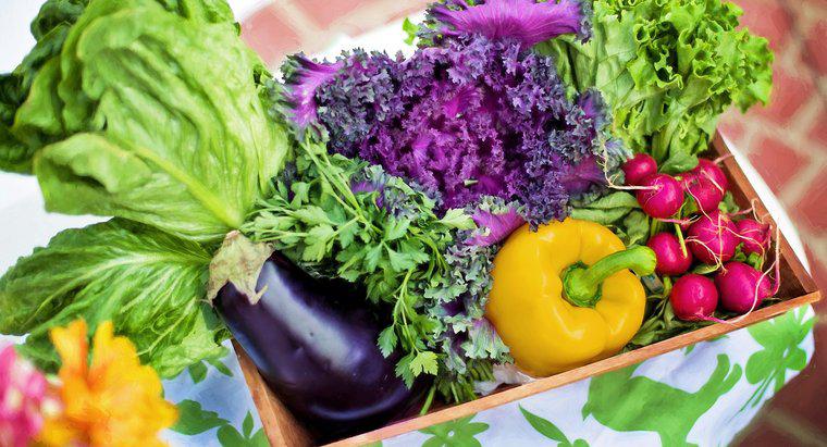 Chế độ ăn kiêng và sức khỏe: Chế độ ăn kiêng dựa trên thực vật