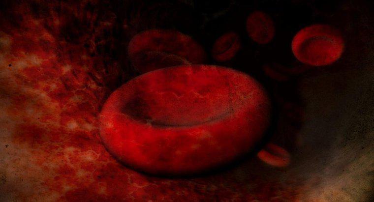 Nguyên nhân của các tế bào hồng cầu mở rộng là gì?
