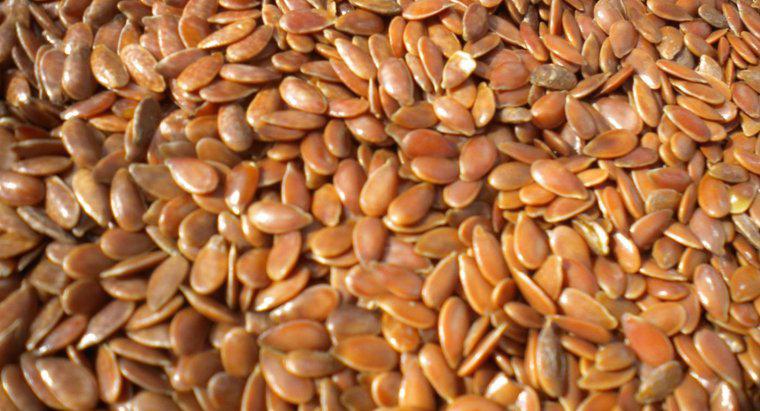 Bạn nên dùng bao nhiêu hạt lanh mỗi ngày?