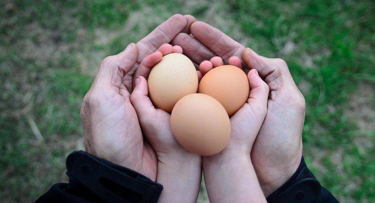 Cân nặng bao nhiêu một quả trứng gà?
