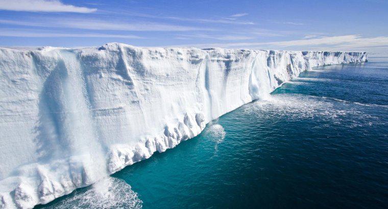 Lượng mưa trung bình của quần xã sinh vật băng ở cực là gì?