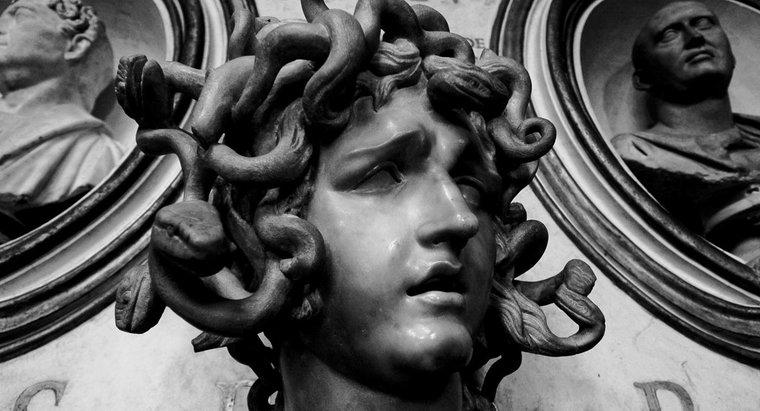 Một số sự thật thú vị về Medusa là gì?