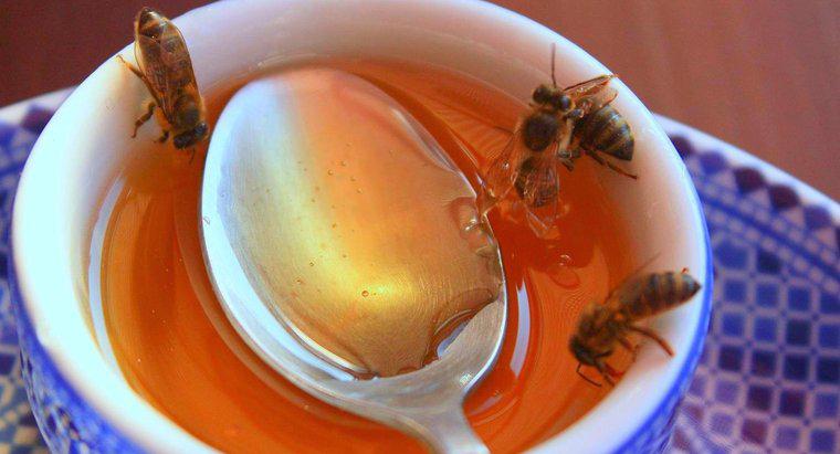 Mật ong tốt nhất trên thế giới là gì?