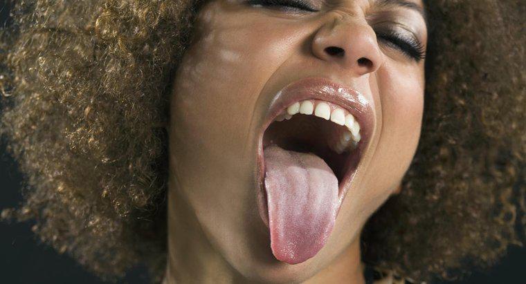 Lưỡi là một hệ thống mô, cơ quan hay cơ quan?