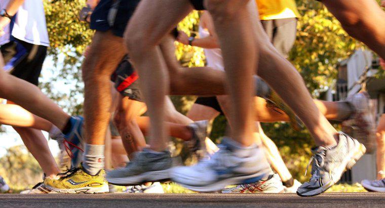 Phần trăm dân số chạy Marathon là bao nhiêu?