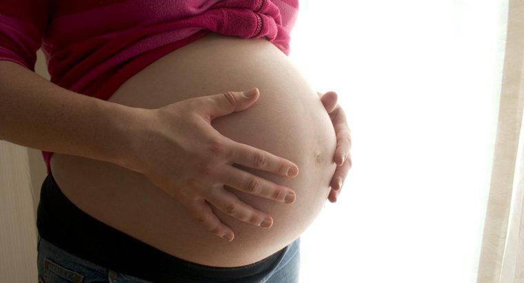 Mang thai dài nhất trong lịch sử là gì?
