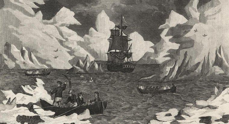 Ai là người đầu tiên phát hiện ra Nam Cực?