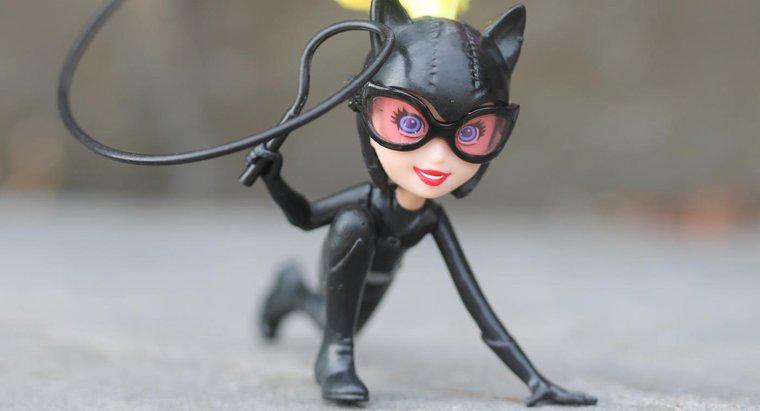 Quyền hạn của Catwoman là gì?