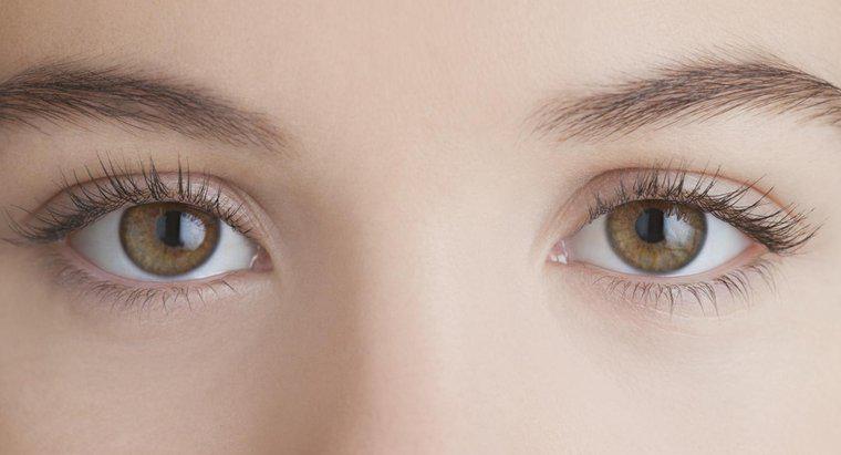 Nguyên nhân nào gây ra chứng run mắt?