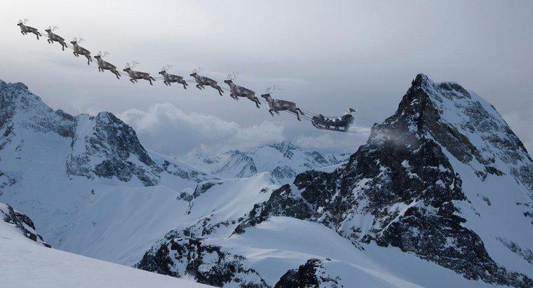 Có bao nhiêu con tuần lộc kéo xe trượt tuyết của ông già Noel?