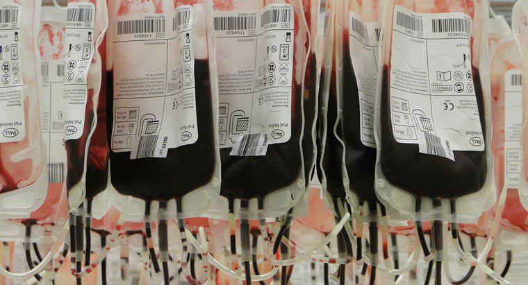 Loại người hiến máu chung là gì?