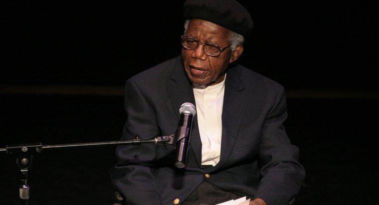 Truyện ngắn "Người bầu cử" của Chinua Achebe nói về điều gì?