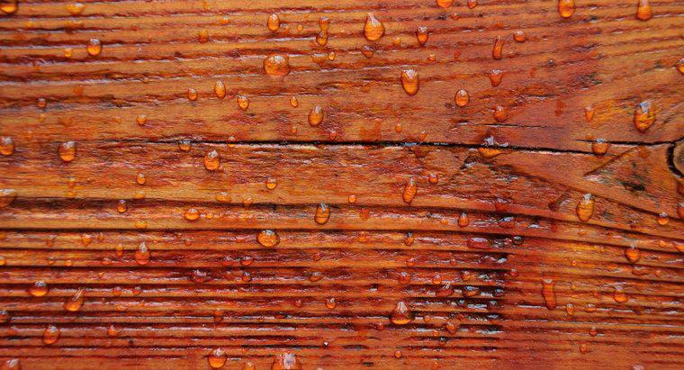 Mất bao lâu để vết gỗ khô?