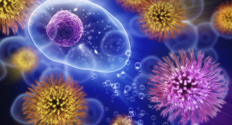 Virus cảm lạnh có thể sống bên ngoài cơ thể được bao lâu?