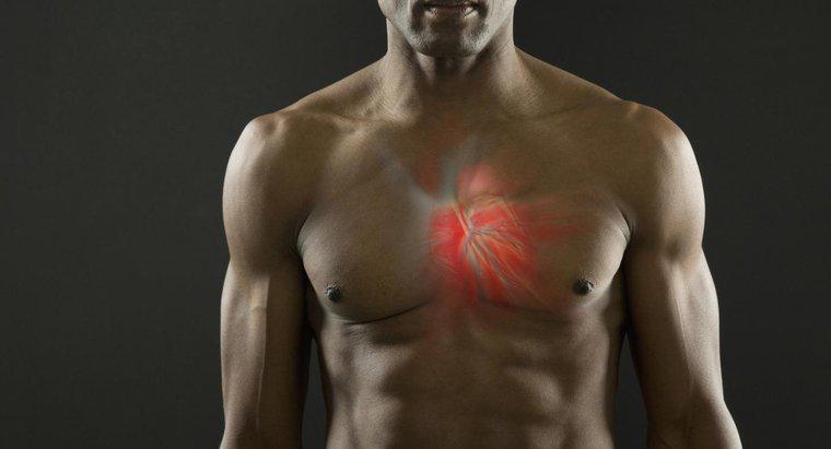 Cơ tim có thể bị Tetanized?