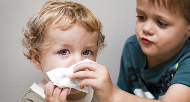 Các triệu chứng Cúm ở Trẻ mới biết đi là gì?