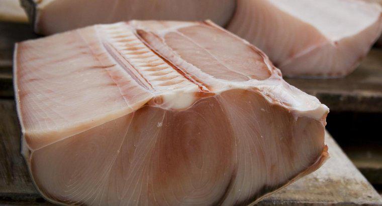 Ăn thịt cá mập có an toàn không?